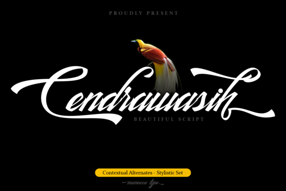 Cendrawasih: The Handwritten Font That Elevates Your Brand