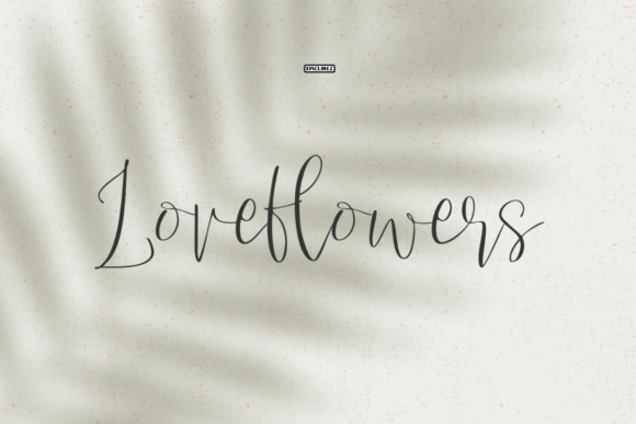 Love Flowers Font for Modern Web Design