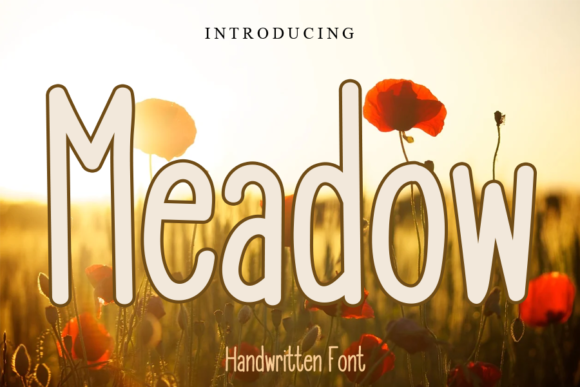 Meadow Typeface: A Web Designer’s Review